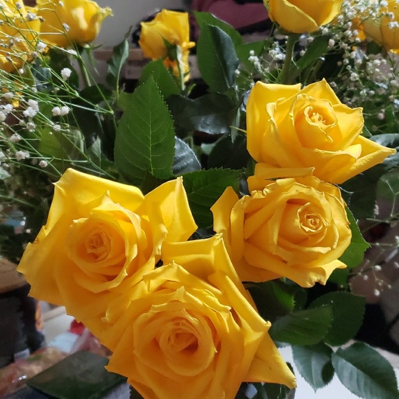 Meet your Posher, Fay - Picture 1 of 1